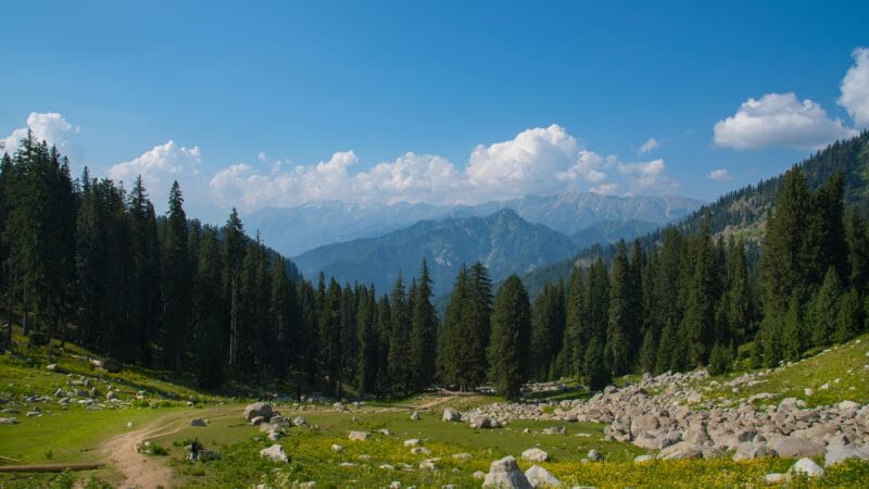 Kashmir in summer