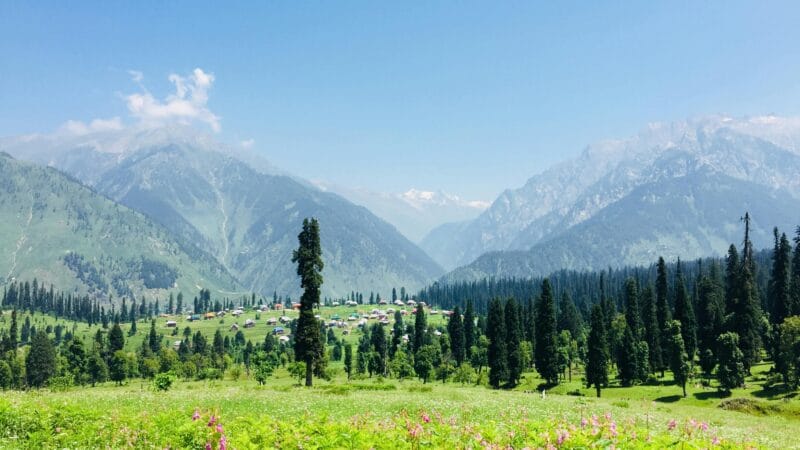 kashmir in summer