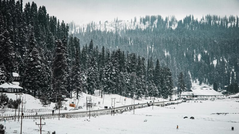 Visit Kashmir in February