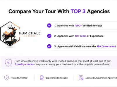 Consult Kashmir Tour With Top 3 Local Travel Agencies