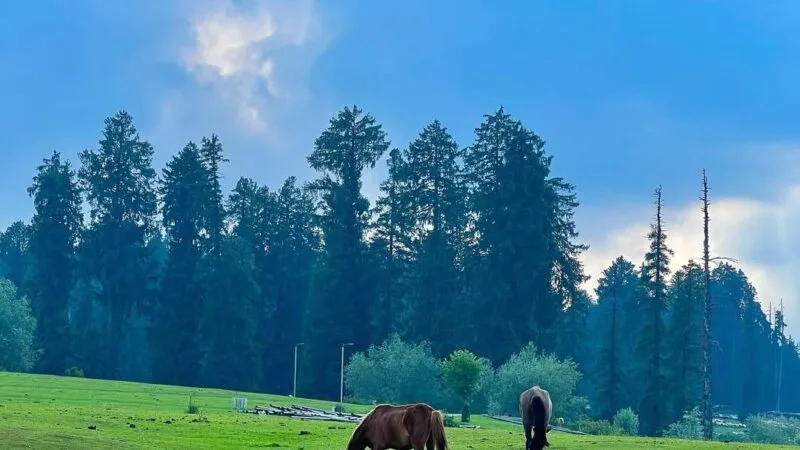 Yusmarg_Yousmarg